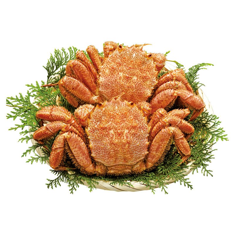 北海道産ボイル毛がに 400g×2尾【商品引換券】 | 二次会の虎